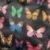 BLACK BUTTERFLY
